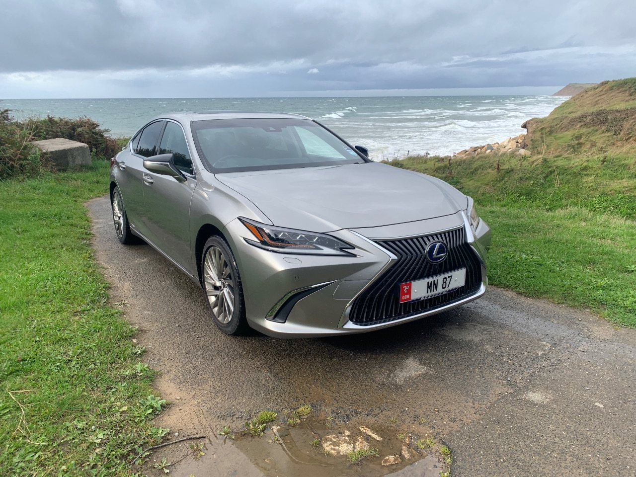 2019 Lexus ES
