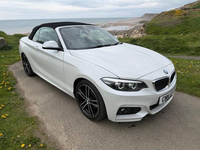 2019 BMW 2 Series 2.0 220i M Sport 2dr [Nav] Step Auto