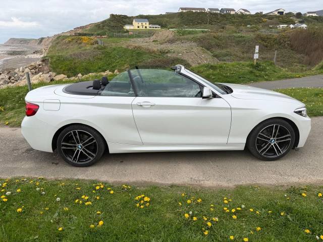 2019 BMW 2 Series 2.0 220i M Sport 2dr [Nav] Step Auto