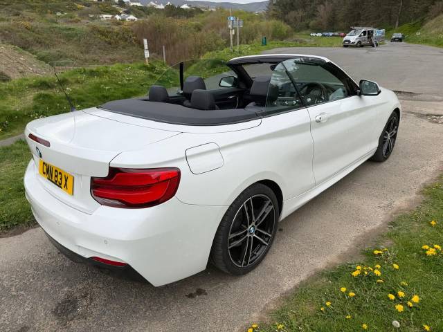 2019 BMW 2 Series 2.0 220i M Sport 2dr [Nav] Step Auto