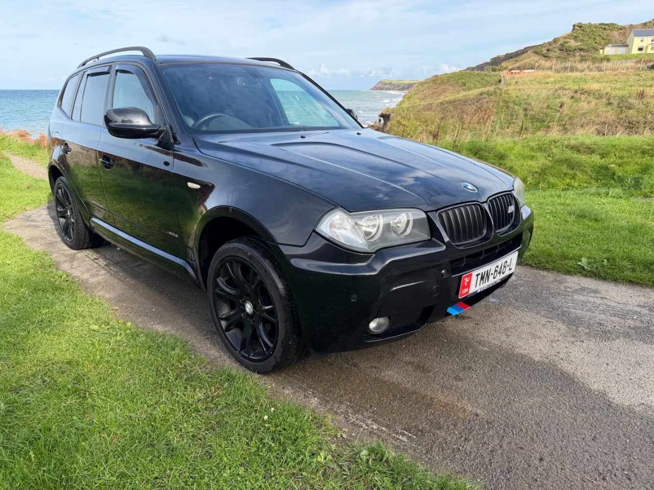 2010 BMW X3